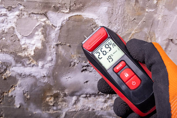 Best Mold Removal Company Near Me  in Earlvle, IL